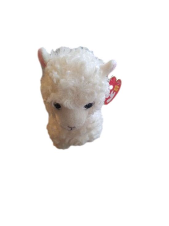 Ty Beanie Babies Other - TY Beanie Babie Lily